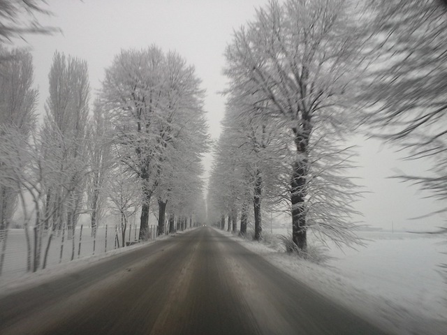 descrizione immagine